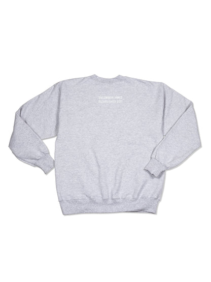 ["Not in the Mood Sweatshirt ", " Ash ", " Product Detail Image ", " Uncommon Lifestyle"]