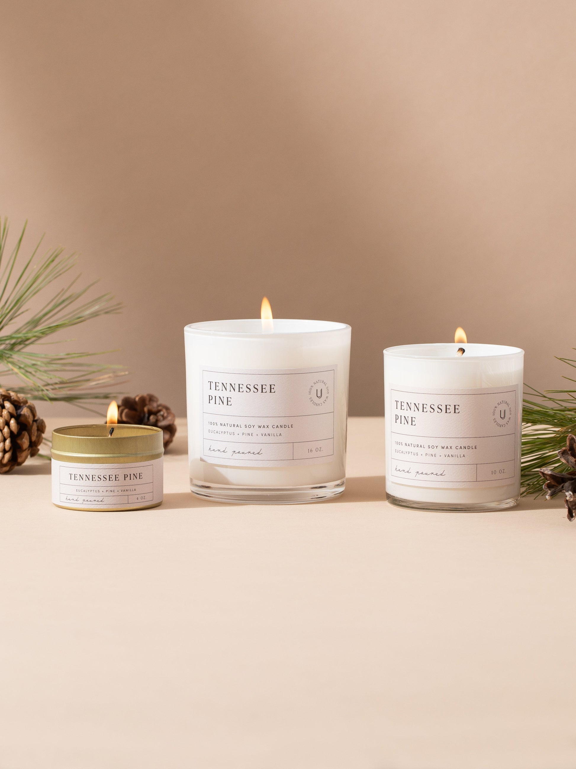Tennessee Pine Candle | 4 OZ 10 OZ 16 OZ | Group Image | Uncommon Lifestyle