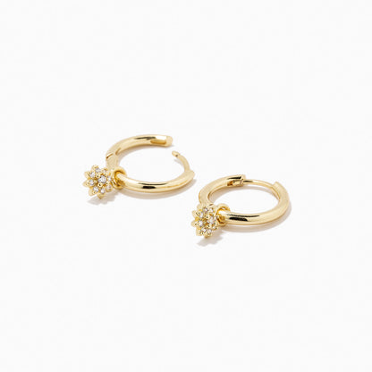 ["Flower Huggie ", " Gold ", " Product Detail Image ", " Uncommon James"]