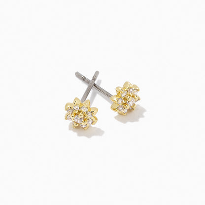 ["Flower Stud ", " Gold ", " Product Detail Image ", " Uncommon James"]