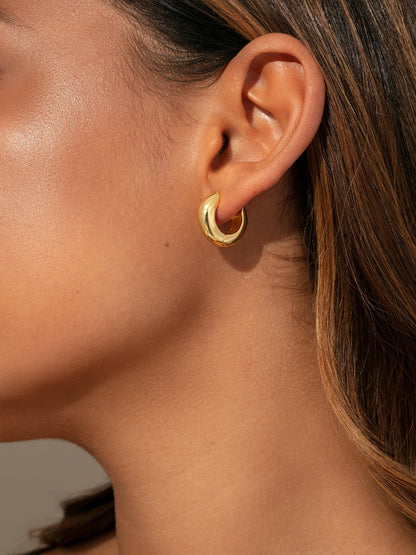["Attitude Hoops ", " Gold Small ", " Model Image 2 ", " Uncommon James"]