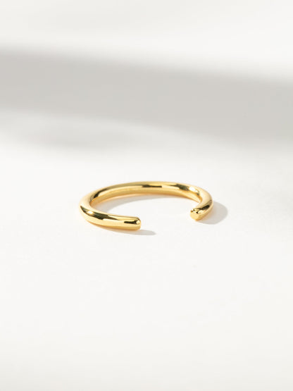["Glitch Ring ", " Gold ", " Product Image ", " Uncommon James"]