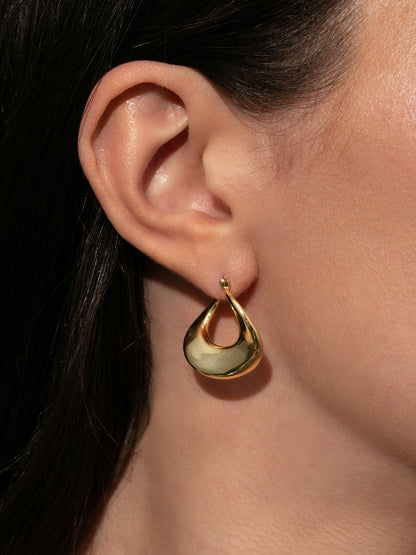 ["Swan Earrings ", " Gold ", " Model Image ", " Uncommon James"]