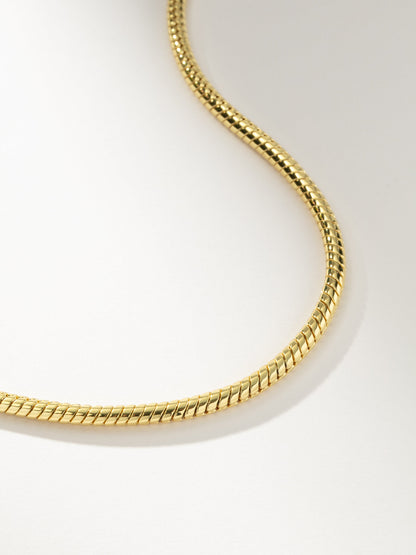 ["Bold Snake Chain Necklace ", " Gold ", " Product Image ", " Uncommon James"]