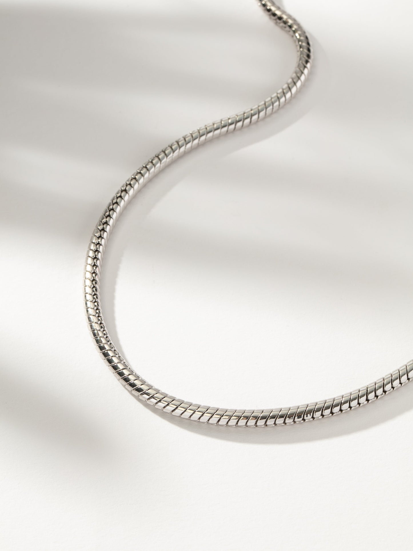 Bold Snake Chain Necklace | Silver | Product Image | Uncommon James