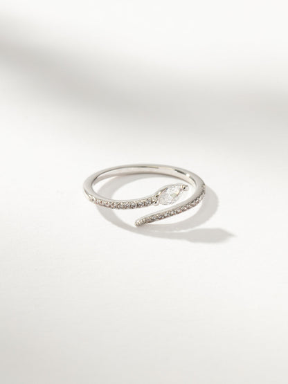 ["Viper Snake Ring ", " Silver ", " Product Image ", " Uncommon James"]