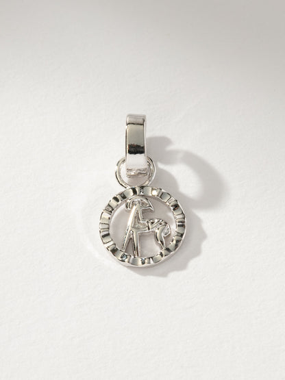 ["Zodiac Charm ", " Silver Aries ", " Product Image ", "  Uncommon James"]