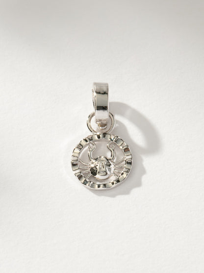 ["Zodiac Charm ", " Silver Cancer ", " Product Image ", "  Uncommon James"]