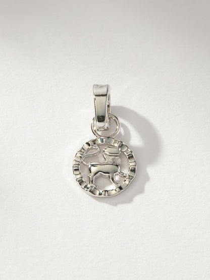 ["Zodiac Charm ", " Silver Leo ", " Product Image ", "  Uncommon James"]