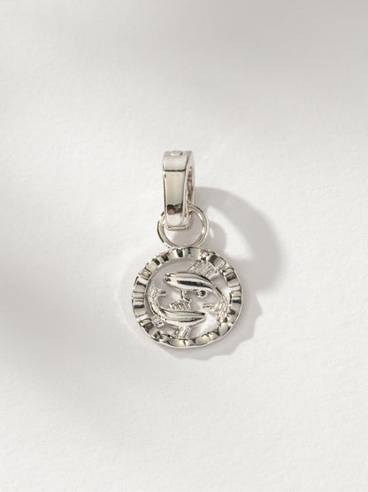 ["Zodiac Charm ", " Silver Pisces ", " Product Image ", "  Uncommon James"]