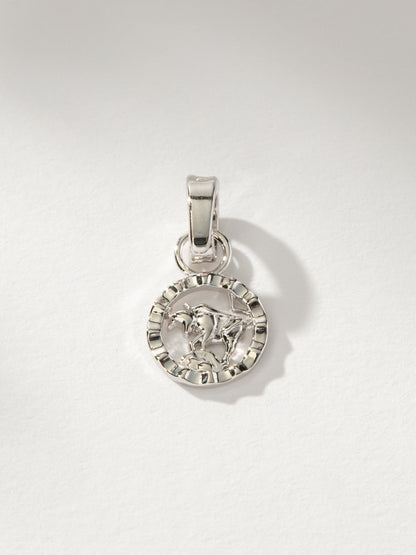["Zodiac Charm ", " Silver Taurus ", " Product Image ", "  Uncommon James"]