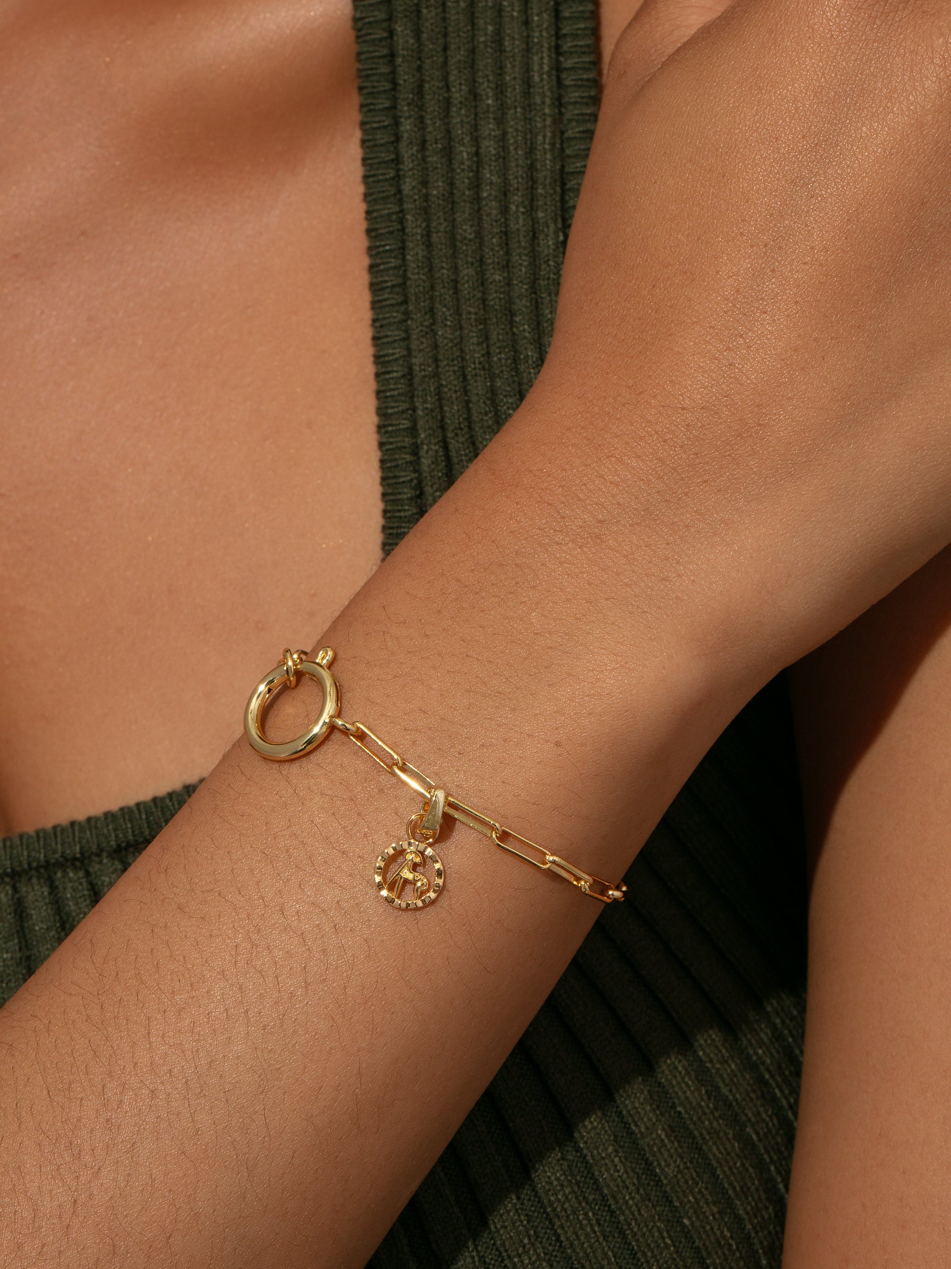 Zodiac Charm | Gold | Model Image 1 | Uncommon James