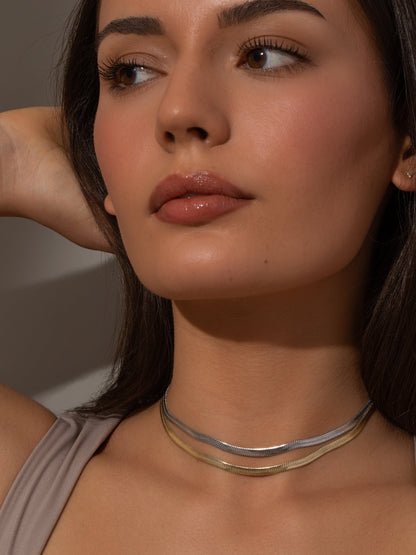 ["Double Layer Herringbone Chain Necklace ", " Mixed Metal ", " Model Image ", " Uncommon James"]