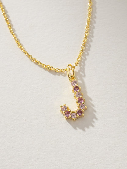 ["Pretty In Pink Initial Necklace ", " Gold J ", " Product Detail Image ", " Uncommon James"]