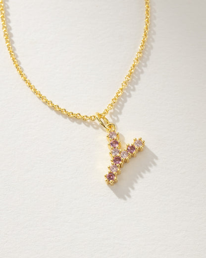 ["Pretty In Pink Initial Necklace ", " Gold Y ", " Product Detail Image ", " Uncommon James"]