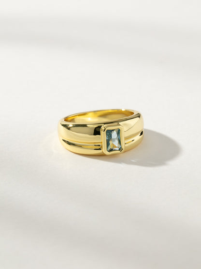 ["Birthstone Ring ", " Gold December ", " Product Image ", " Uncommon James"]