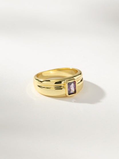 ["Birthstone Ring ", " Gold February ", " Product Image ", " Uncommon James"]