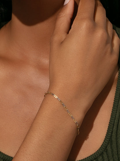["Mixed Dainty Paperclip Chain Bracelet ", " Mixed Metal ", " Model Image ", " Uncommon James"]