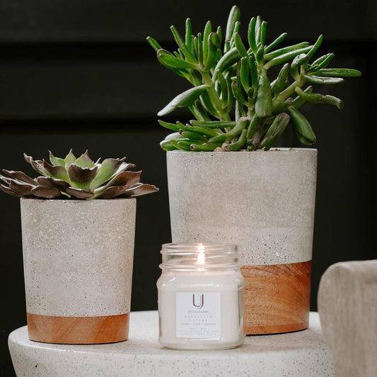 BUD | SMALL PLANTER